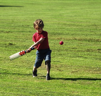Play Single Wicket Cricket