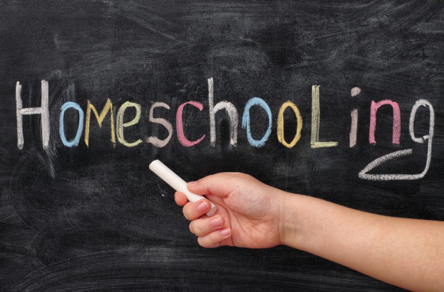 The Best Home-schooling Websites for Parents