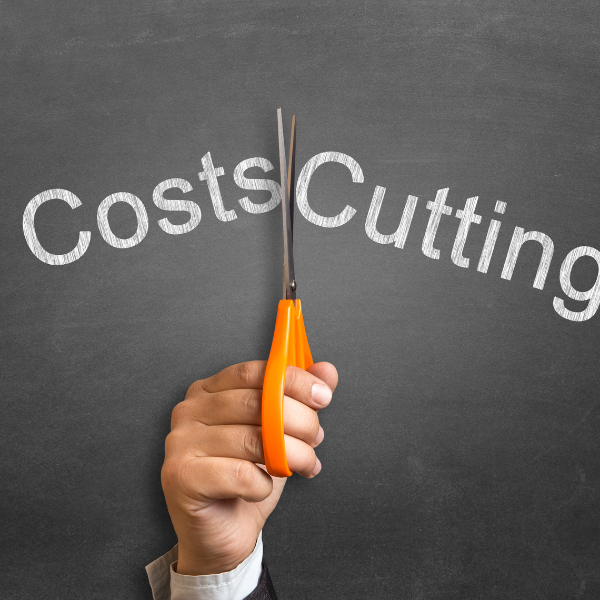 Best Strategies To Reduce Business Costs And Maximise Profits