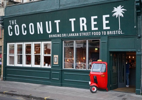 Coconut Tree Bristol