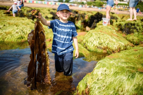 Schools out for summer in Bristol â€“ Six FREE nature activities for children