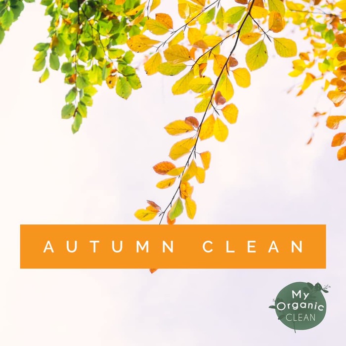 5 Reasons Why you Should Deep Clean your Home in Autumn