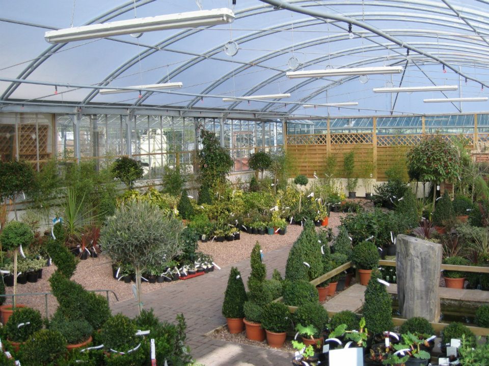 Brackenwood Plant & Garden Centre