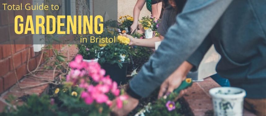 Gardening in Bristol