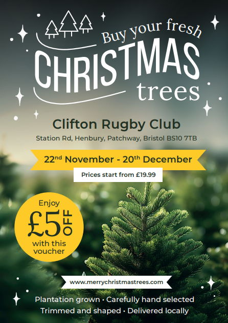 Kingsley Christmas Trees