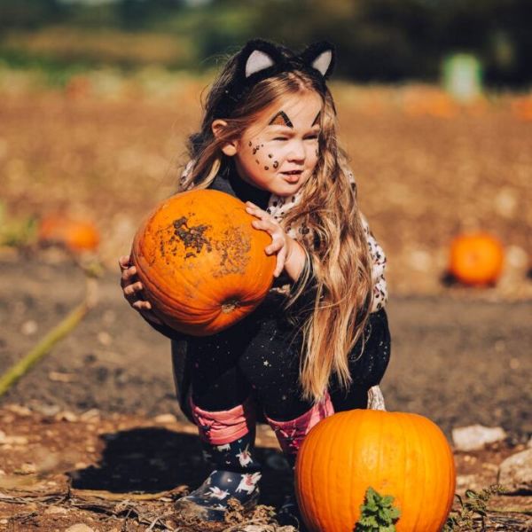Halloween Fun at Avon Valley