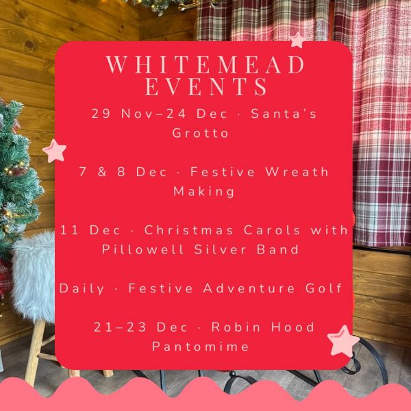 Festive Fun at Whitemead Forest Park