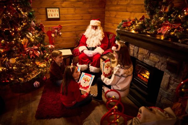 Christmas at Whitemead Forest Park