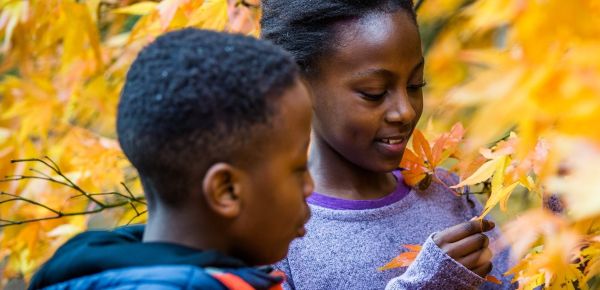 Client Image: Westonbirt Arboretum Autumn Kids