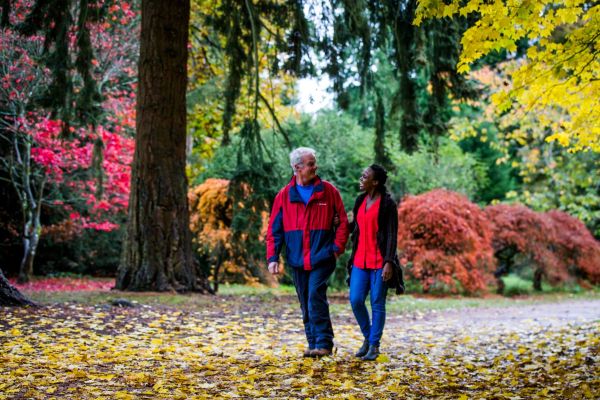 Client Image: Westonbirt Arboretum Autumn 