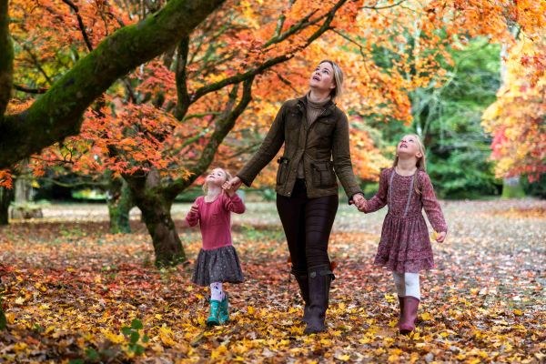 Client Image: Westonbirt Arboretum Autumn 