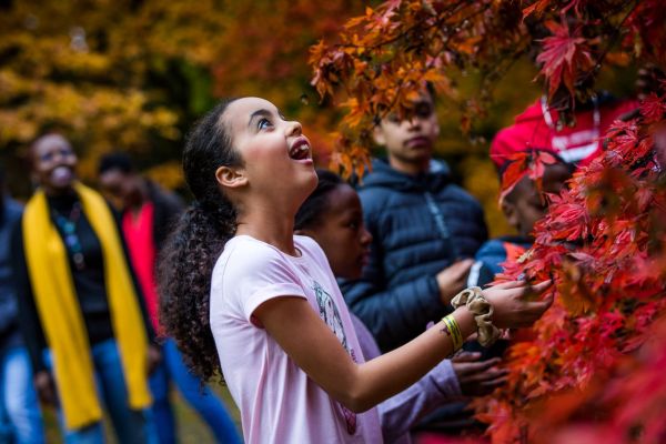 Client Image: Westonbirt Arboretum Autumn Kids