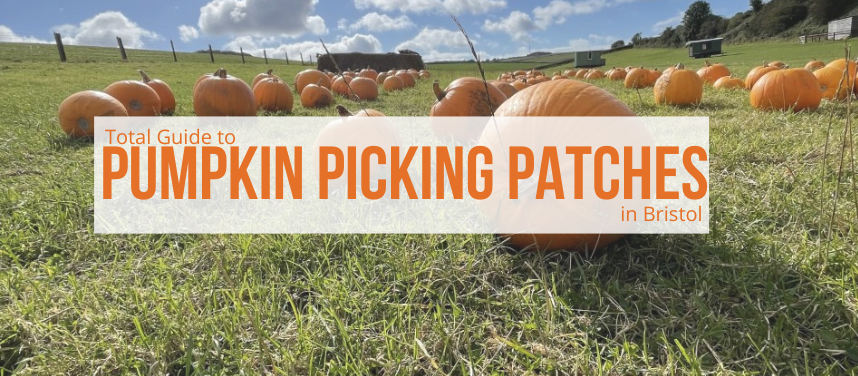 Pumpkin Picking In and Around Bristol | Best Pumpkin Picking in Bristol