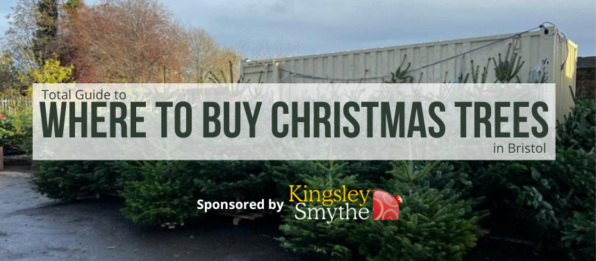 Where to Buy Christmas Trees in and Around Bristol